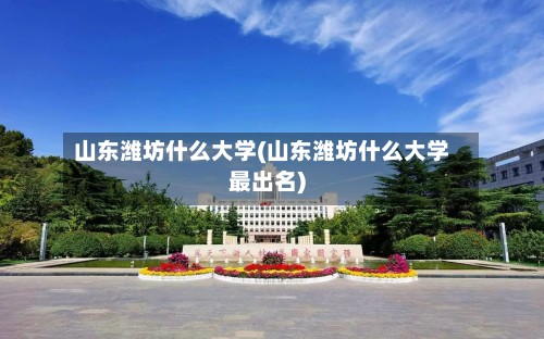 山东潍坊什么大学(山东潍坊什么大学最出名)