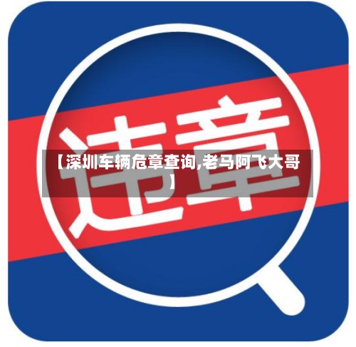 【深圳车辆危章查询,老马阿飞大哥】