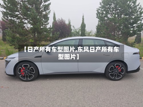【日产所有车型图片,东风日产所有车型图片】-第3张图片