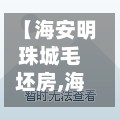 【海安明珠城毛坯房,海安明珠城房拍卖】-第3张图片