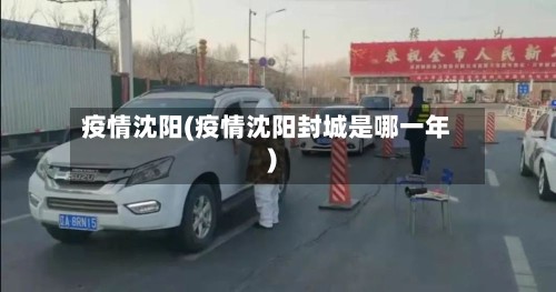 疫情沈阳(疫情沈阳封城是哪一年)-第2张图片