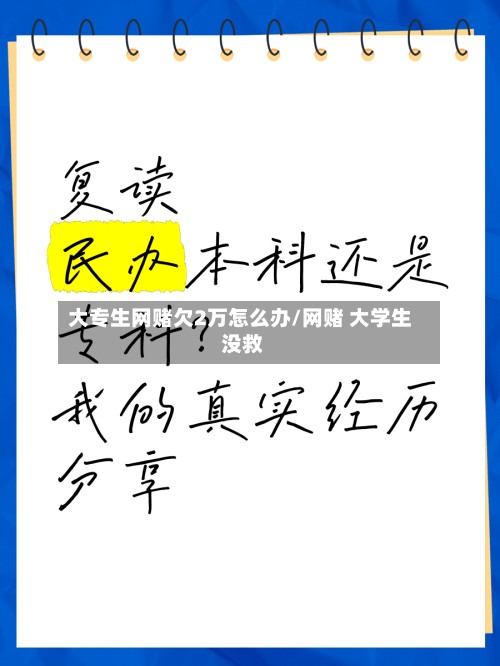 大专生网赌欠2万怎么办/网赌 大学生 没救-第3张图片