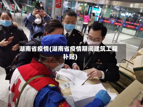 湖南省疫情(湖南省疫情期间建筑工程补贴)
