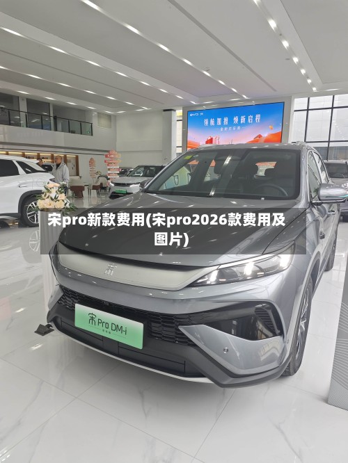 宋pro新款费用(宋pro2026款费用及图片)-第2张图片