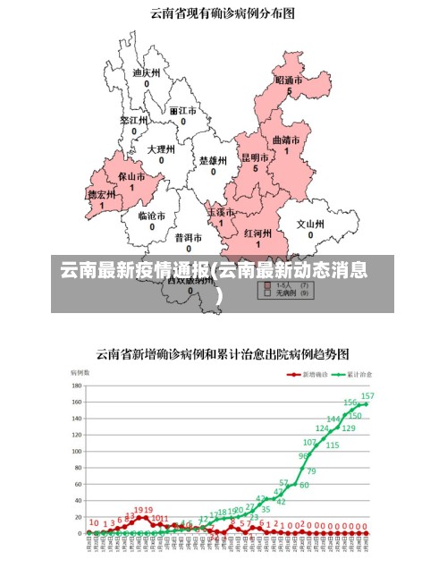 云南最新疫情通报(云南最新动态消息)