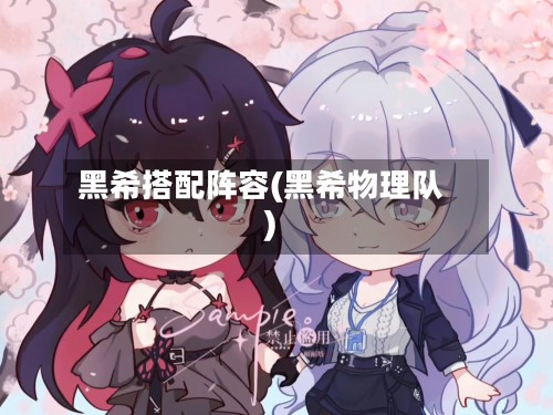 黑希搭配阵容(黑希物理队)-第2张图片
