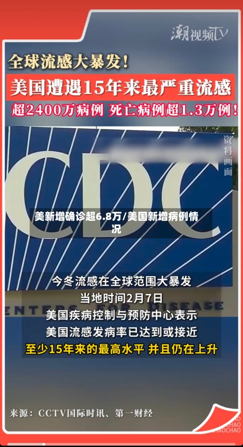 美新增确诊超6.8万/美国新增病例情况-第3张图片