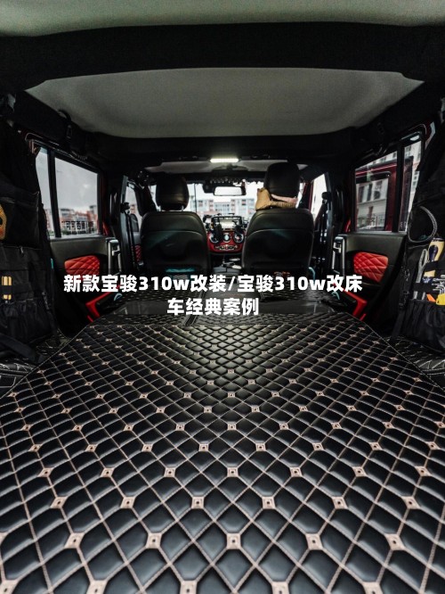 新款宝骏310w改装/宝骏310w改床车经典案例-第3张图片
