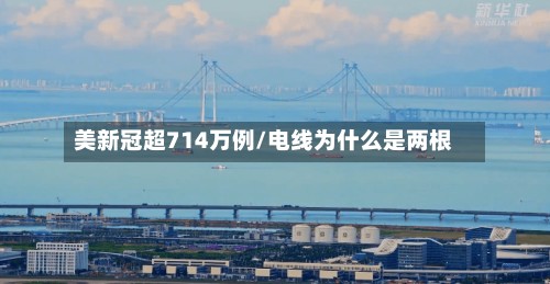 美新冠超714万例/电线为什么是两根