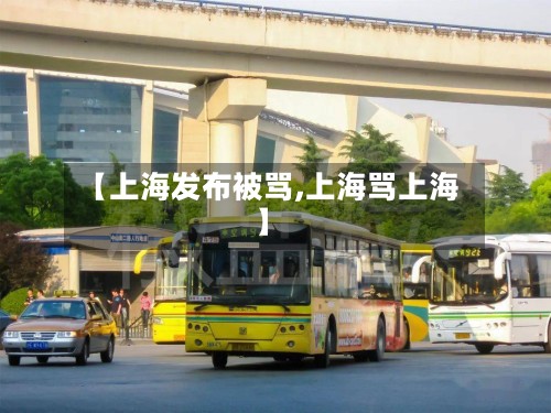 【上海发布被骂,上海骂上海】