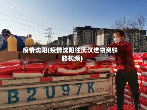 疫情沈阳(疫情沈阳往武汉送物资铁路视频)