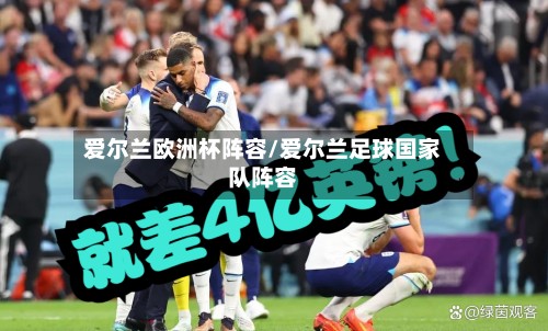爱尔兰欧洲杯阵容/爱尔兰足球国家队阵容-第2张图片