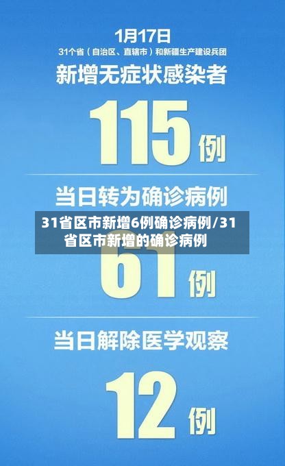 31省区市新增6例确诊病例/31省区市新增的确诊病例