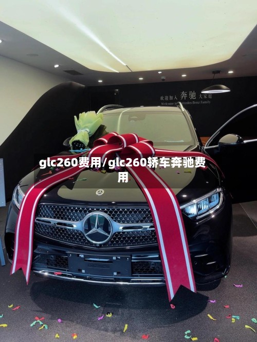 glc260费用/glc260轿车奔驰费用