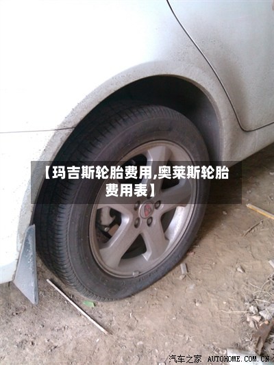 【玛吉斯轮胎费用,奥莱斯轮胎费用表】-第2张图片
