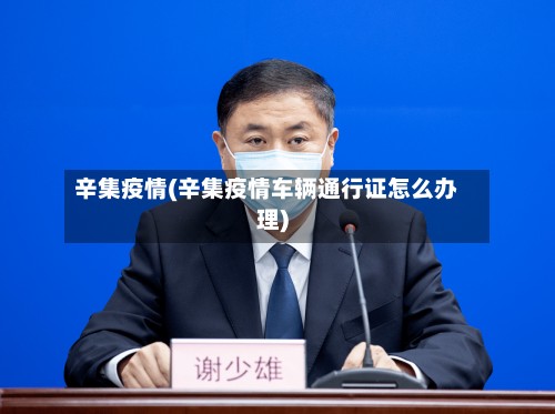 辛集疫情(辛集疫情车辆通行证怎么办理)-第3张图片