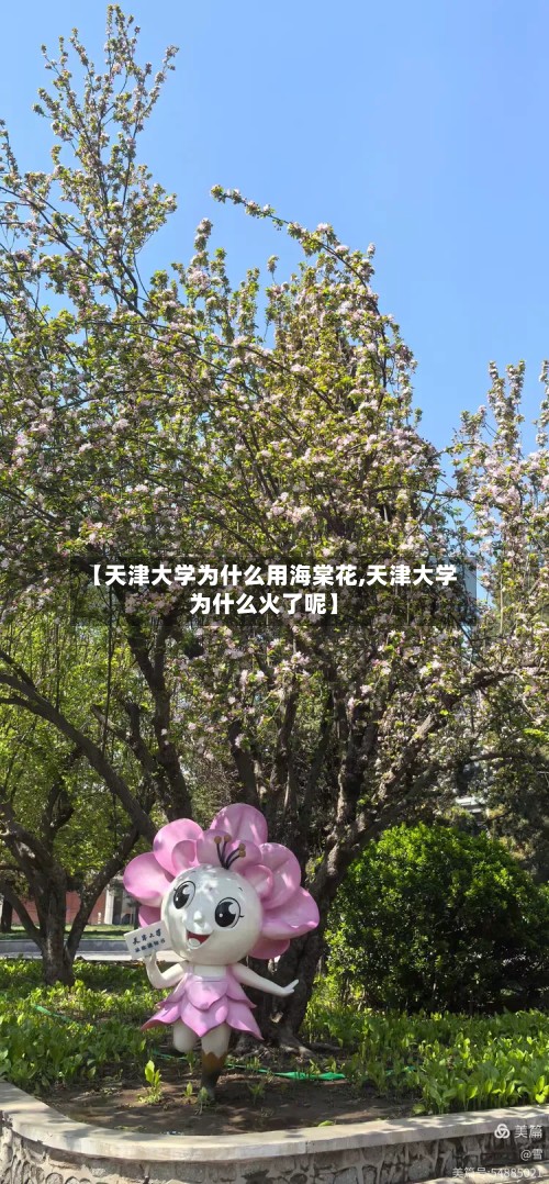 【天津大学为什么用海棠花,天津大学为什么火了呢】