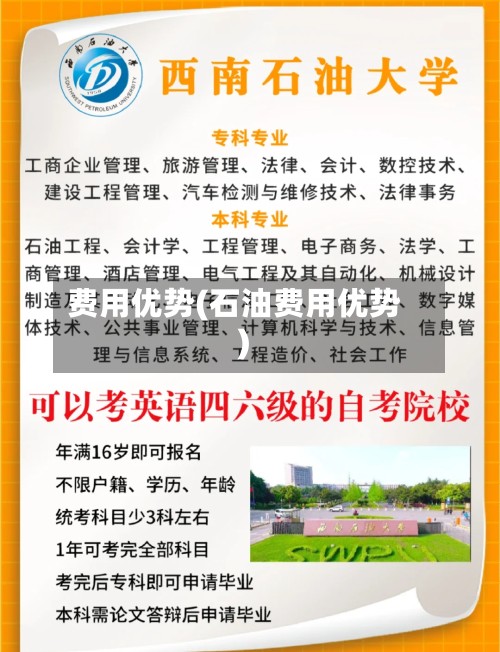 费用优势(石油费用优势)-第3张图片