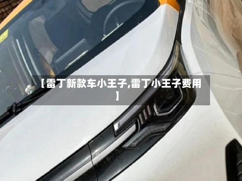 【雷丁新款车小王子,雷丁小王子费用】