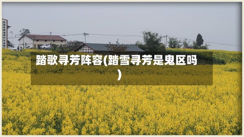 踏歌寻芳阵容(踏雪寻芳是鬼区吗)