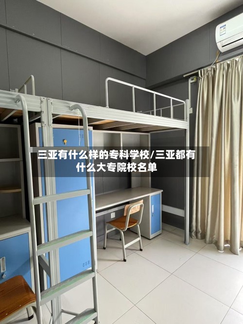 三亚有什么样的专科学校/三亚都有什么大专院校名单-第3张图片