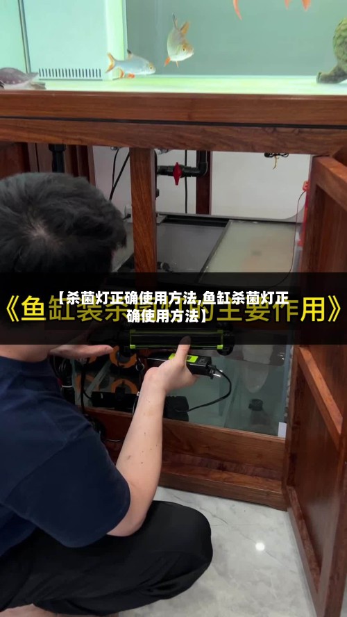 【杀菌灯正确使用方法,鱼缸杀菌灯正确使用方法】-第2张图片