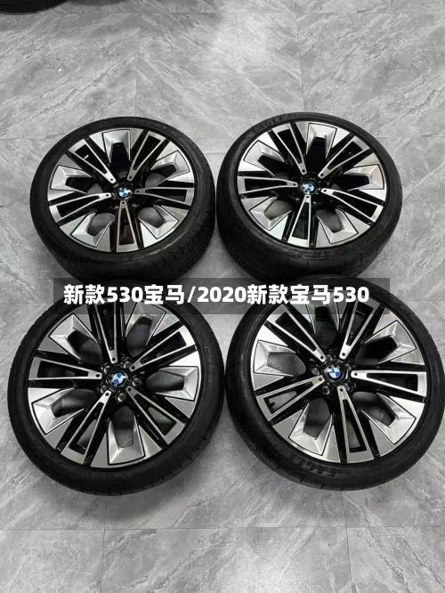 新款530宝马/2020新款宝马530