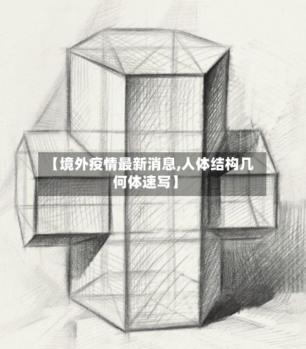 【境外疫情最新消息,人体结构几何体速写】-第3张图片