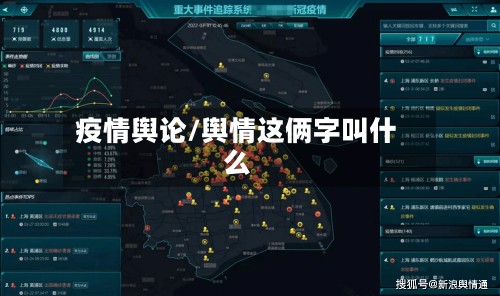 疫情舆论/舆情这俩字叫什么