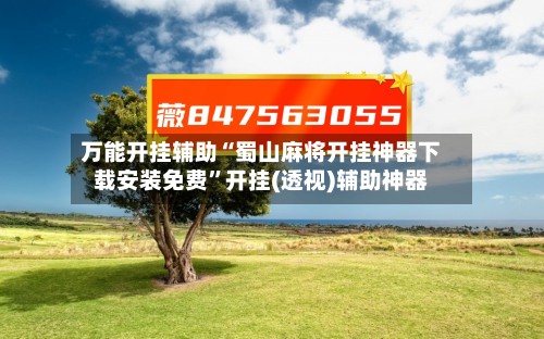 万能开挂辅助“蜀山麻将开挂神器下载安装免费”开挂(透视)辅助神器-第3张图片