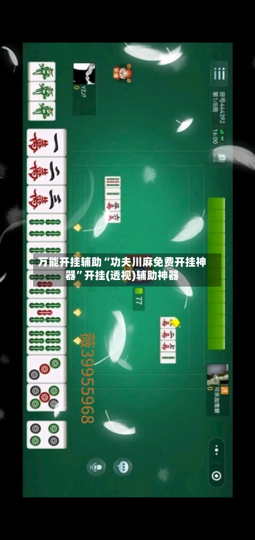 万能开挂辅助“功夫川麻免费开挂神器	”开挂(透视)辅助神器-第3张图片