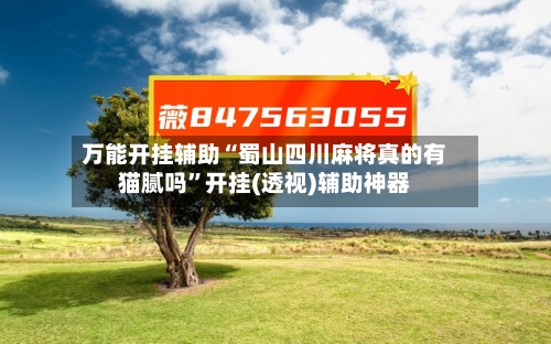 万能开挂辅助“蜀山四川麻将真的有猫腻吗	”开挂(透视)辅助神器-第3张图片