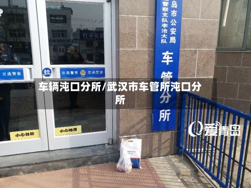 车辆沌口分所/武汉市车管所沌口分所-第2张图片