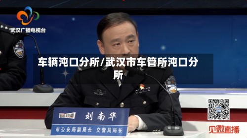 车辆沌口分所/武汉市车管所沌口分所