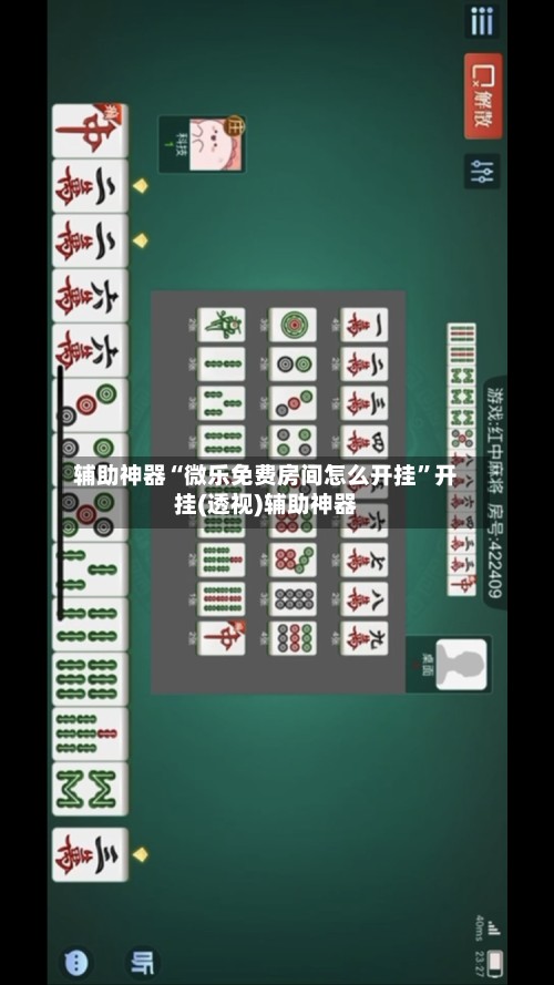 辅助神器“微乐免费房间怎么开挂”开挂(透视)辅助神器