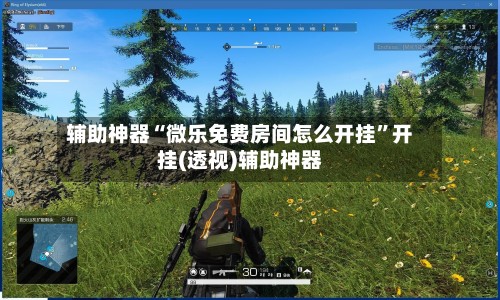 辅助神器“微乐免费房间怎么开挂”开挂(透视)辅助神器-第2张图片