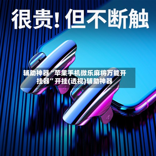 辅助神器“苹果手机微乐麻将万能开挂器”开挂(透视)辅助神器-第2张图片