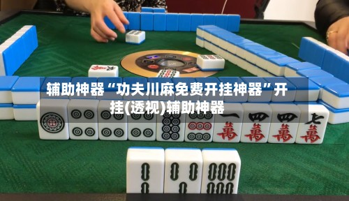 辅助神器“功夫川麻免费开挂神器	”开挂(透视)辅助神器-第2张图片