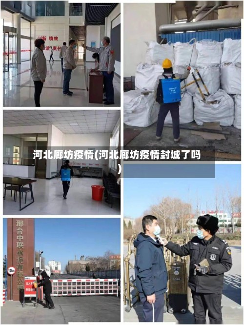河北廊坊疫情(河北廊坊疫情封城了吗)-第2张图片