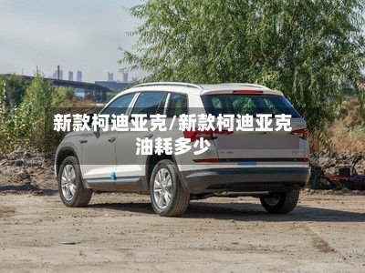 新款柯迪亚克/新款柯迪亚克油耗多少-第3张图片