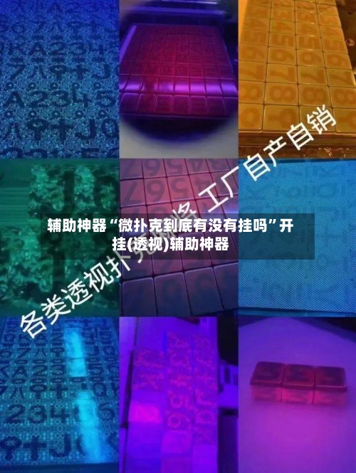 辅助神器“微扑克到底有没有挂吗”开挂(透视)辅助神器-第3张图片