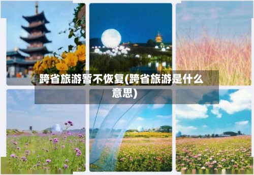 跨省旅游暂不恢复(跨省旅游是什么意思)-第2张图片