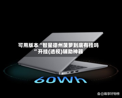 可用版本“智星德州菠萝到底有挂吗”开挂(透视)辅助神器-第2张图片