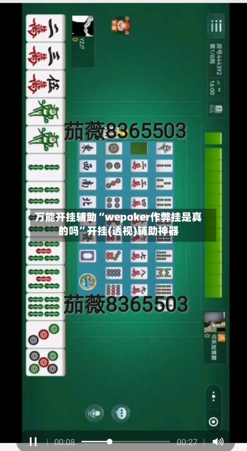 万能开挂辅助“wepoker作弊挂是真的吗”开挂(透视)辅助神器-第2张图片