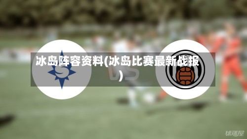 冰岛阵容资料(冰岛比赛最新战报)-第2张图片