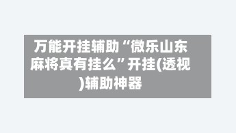万能开挂辅助“微乐山东麻将真有挂么”开挂(透视)辅助神器-第2张图片
