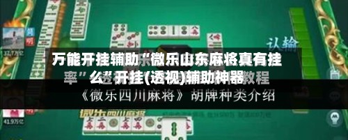 万能开挂辅助“微乐山东麻将真有挂么”开挂(透视)辅助神器-第3张图片