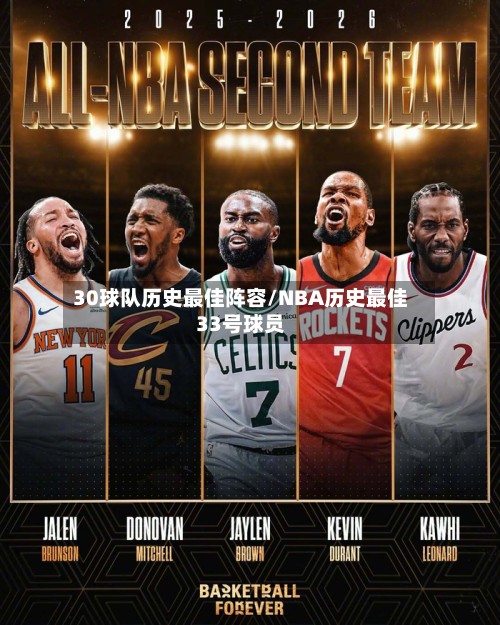 30球队历史最佳阵容/NBA历史最佳33号球员-第2张图片