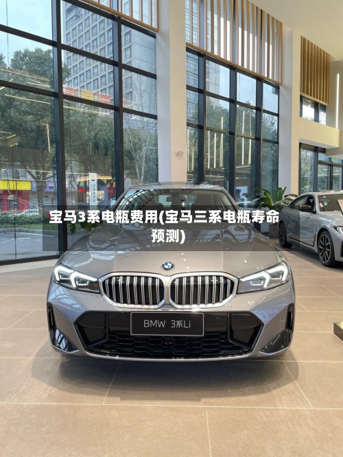 宝马3系电瓶费用(宝马三系电瓶寿命预测)-第2张图片