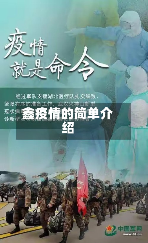 鑫疫情的简单介绍